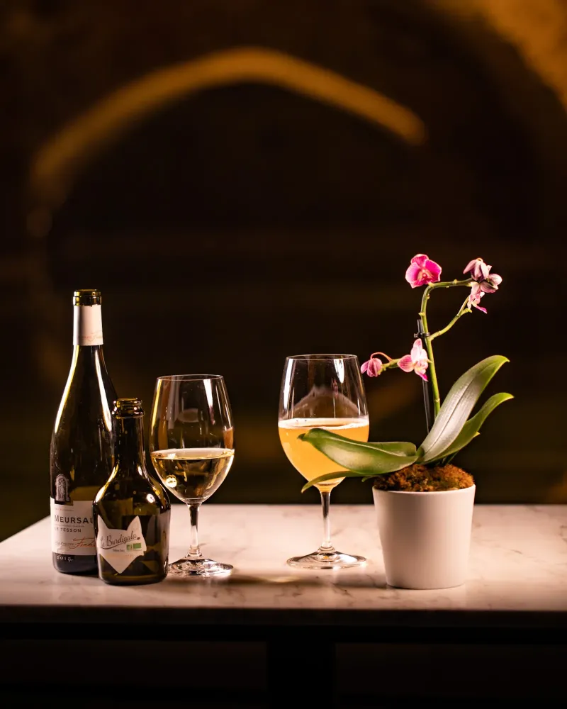 Evenement et experiences insolites - Matthieu Dupuis-Baumal