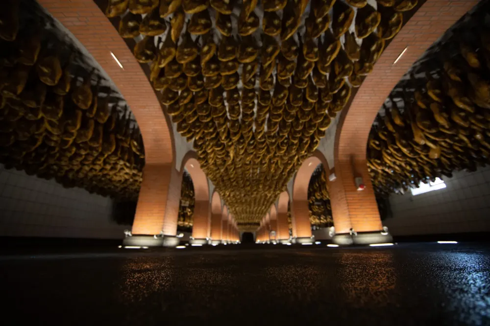 Evenement et experiences insolites - Matthieu Dupuis-Baumal