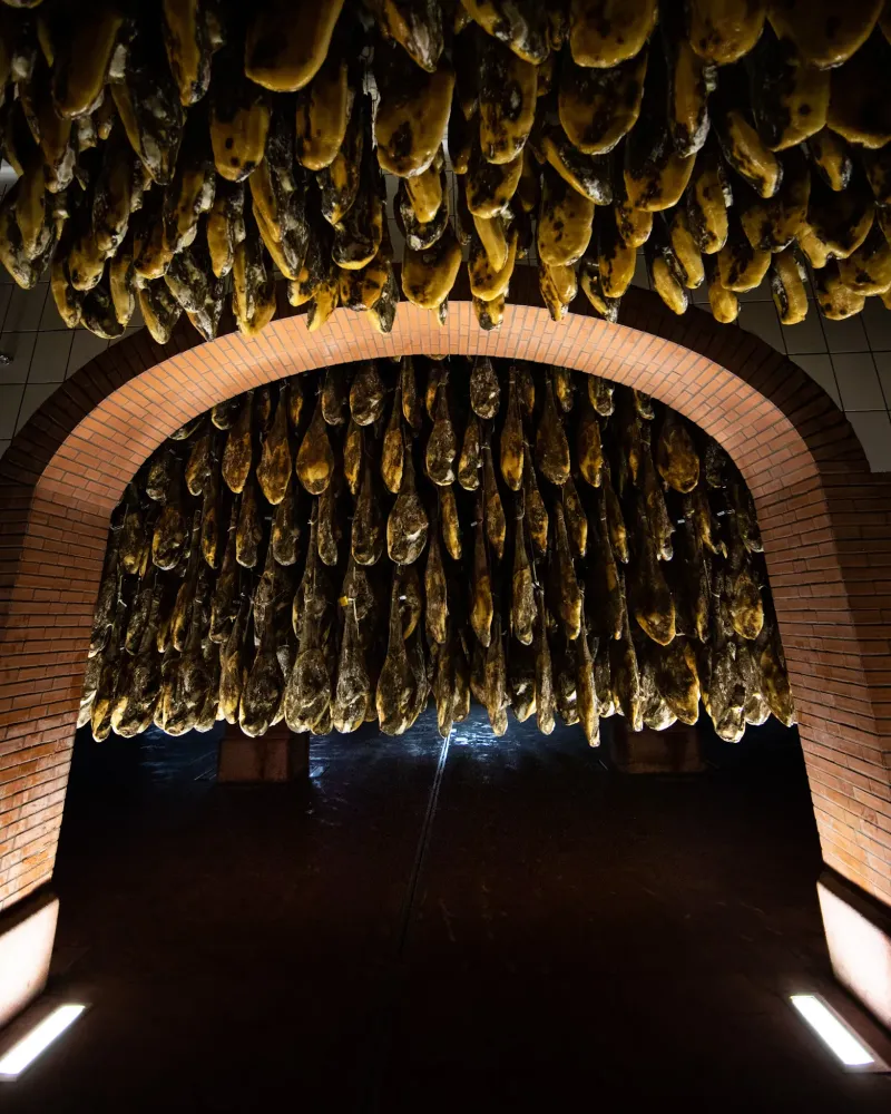 Evenement et experiences insolites - Matthieu Dupuis-Baumal